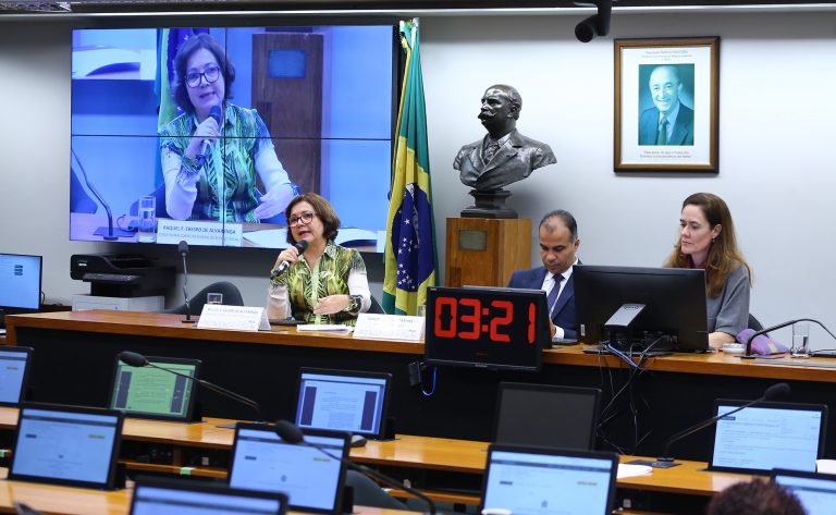 Bolsa Família deve ser uma etapa para a concessão de renda básica universal, defendem debatedores – Notícias