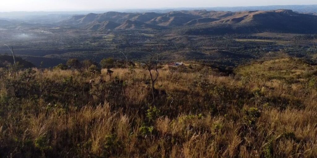 Preservação do Cerrado no DF é tema do Caminhos da Reportagem