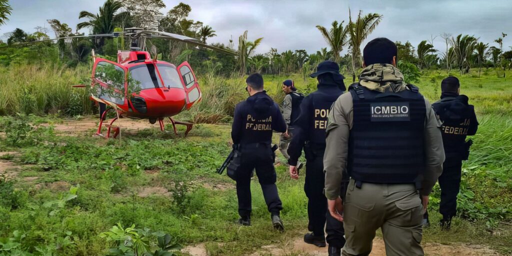 Pesquisa traça conexões entre narcotráfico e crimes ambientais no país