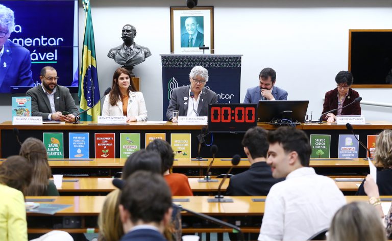 Especialistas defendem educação climática integrada a disciplinas do currículo escolar – Notícias