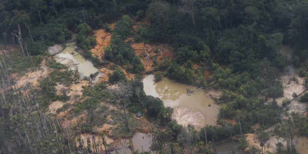 Voos clandestinos em terra yanomami caem 90% após operação especial