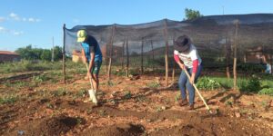 Trabalhadores pedem redução de juros para produzir alimentos no Brasil