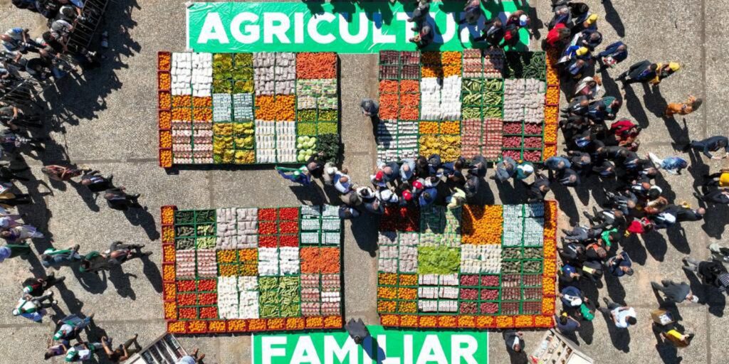 Publicada lei que institui o Programa de Aquisição de Alimentos