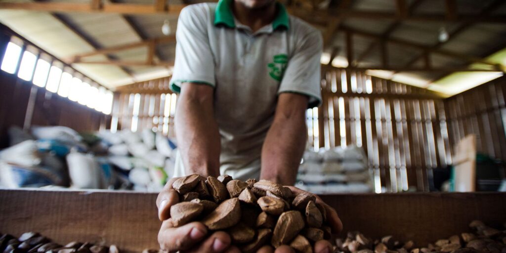 Extrativistas querem que produtos tenham chancela de povo amazônico