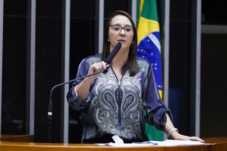 Câmara aprova projeto que inclui educação política e direitos da cidadania no currículo escolar; acompanhe – Notícias