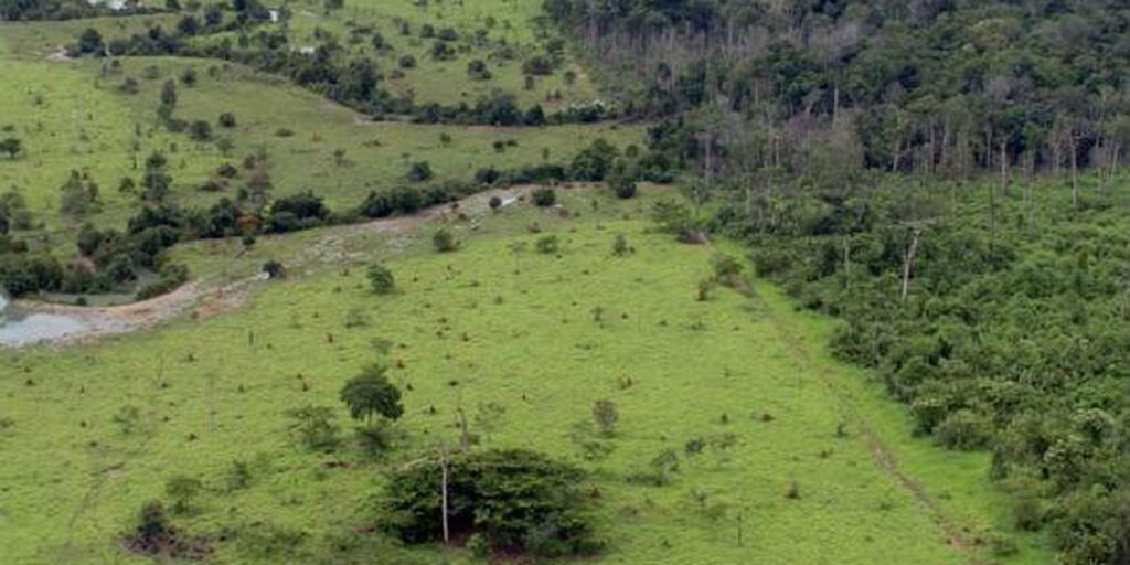 Aberto o prazo para entrega da Declaração do Imposto Territorial Rural