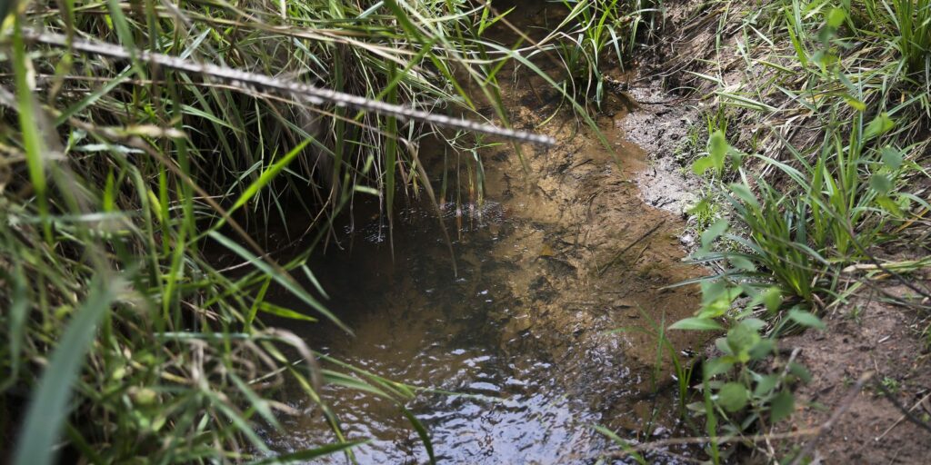 Lei inclui recuperação de nascentes na legislação ambiental