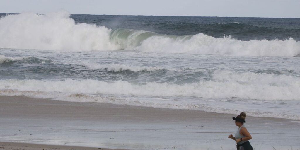 SP Ocean Week 2023 chama atenção para conhecimento dos mares