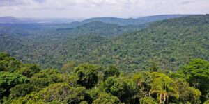 Petrobras faz primeira compra de créditos de carbono