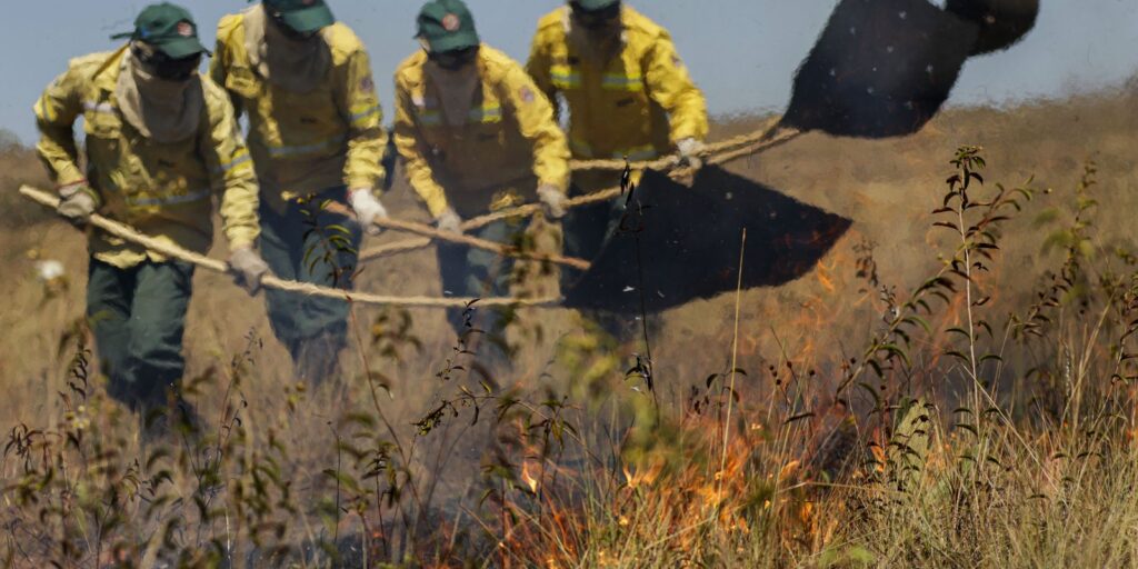 Uso consciente do fogo reduz incêndios na Chapada dos Veadeiros (GO) 