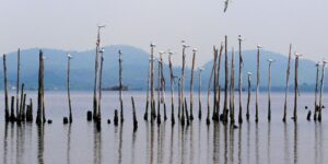 Projetos para a Baía de Guanabara colecionam fracassos desde anos 1990