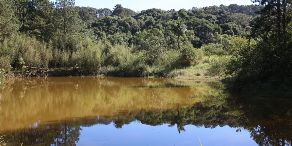 Superfície de água encolheu em países amazônicos, mostra MapBiomas