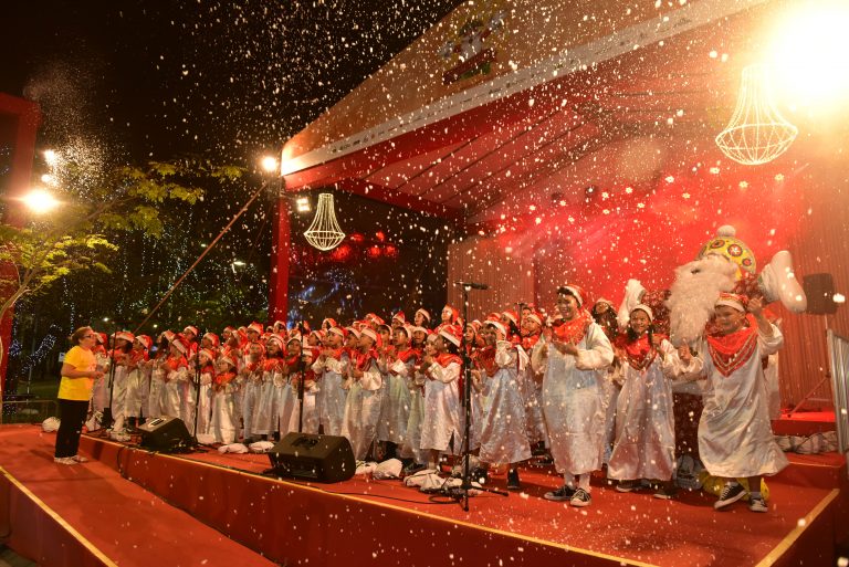 Comissão realiza audiência pública em homenagem a evento natalino do Ceará – Notícias