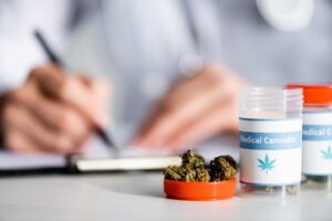 Cadeia produtiva da Cannabis para fins medicinais é tema de audiência na próxima terça – Notícias