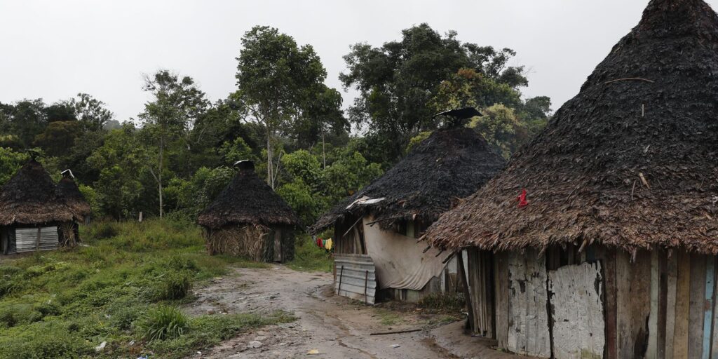 Representantes da corte interamericana visitarão TI Yanomami