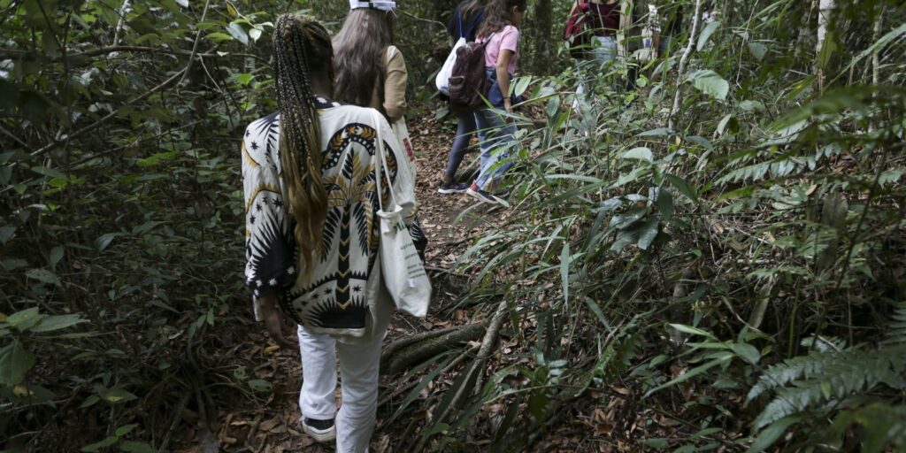 Participantes de projeto educativo conhecem biodiversidade do Cerrado