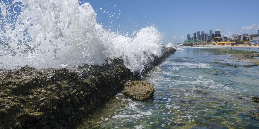 Corais podem evitar R$ 160 bilhões em danos ao litoral do Nordeste