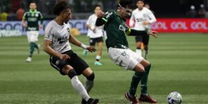 Tentando retomar caminho das vitórias, líder Botafogo recebe Palmeiras