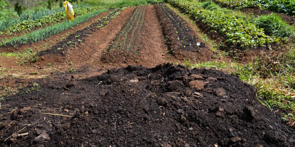 Efeitos negativos de produção de alimentos é quase 10% do PIB global