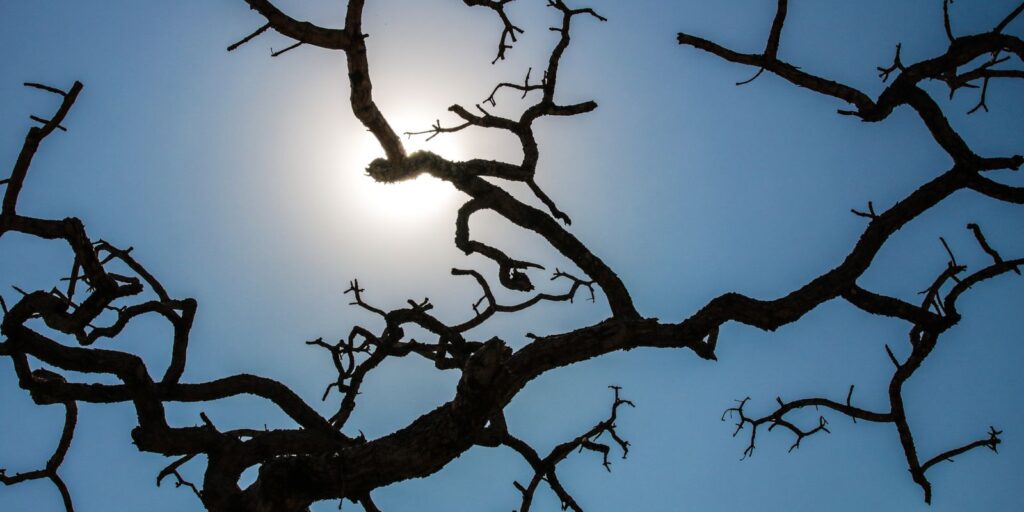 Brasil registra recorde da temperatura média pelo quarto mês seguido