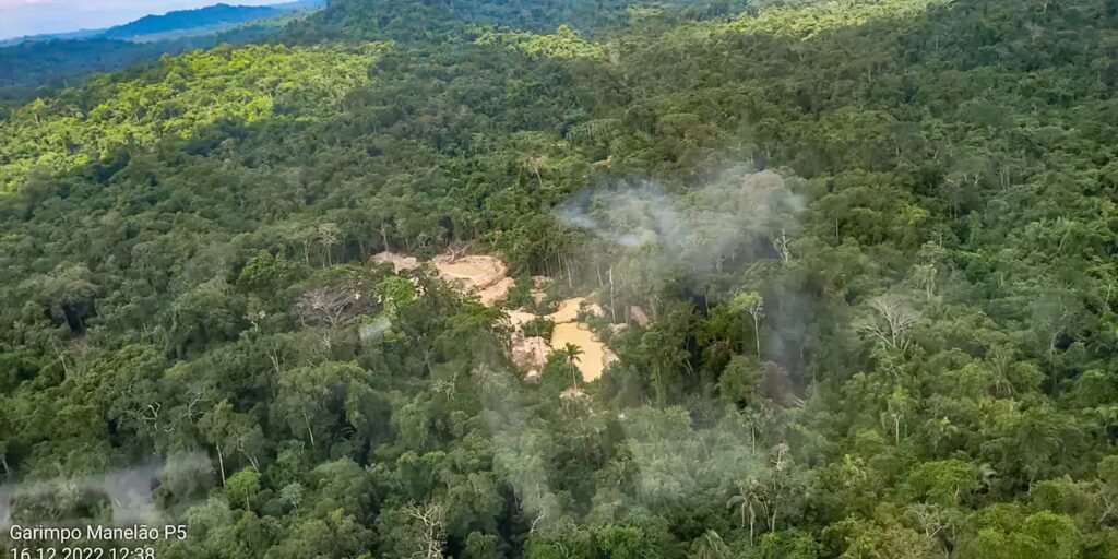 Retirada de invasores de TI do Pará tem prisão e apreensão de madeira