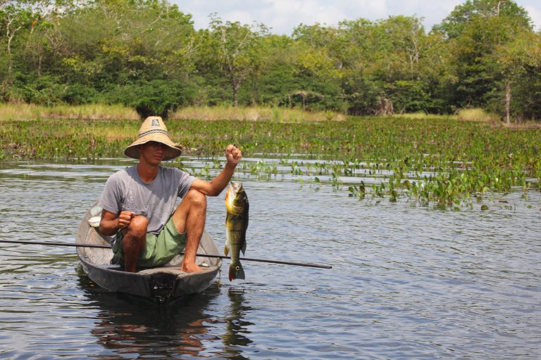 Medida provisória abre crédito no Orçamento para pagamento a pescadores atingidos pela seca no Norte – Notícias