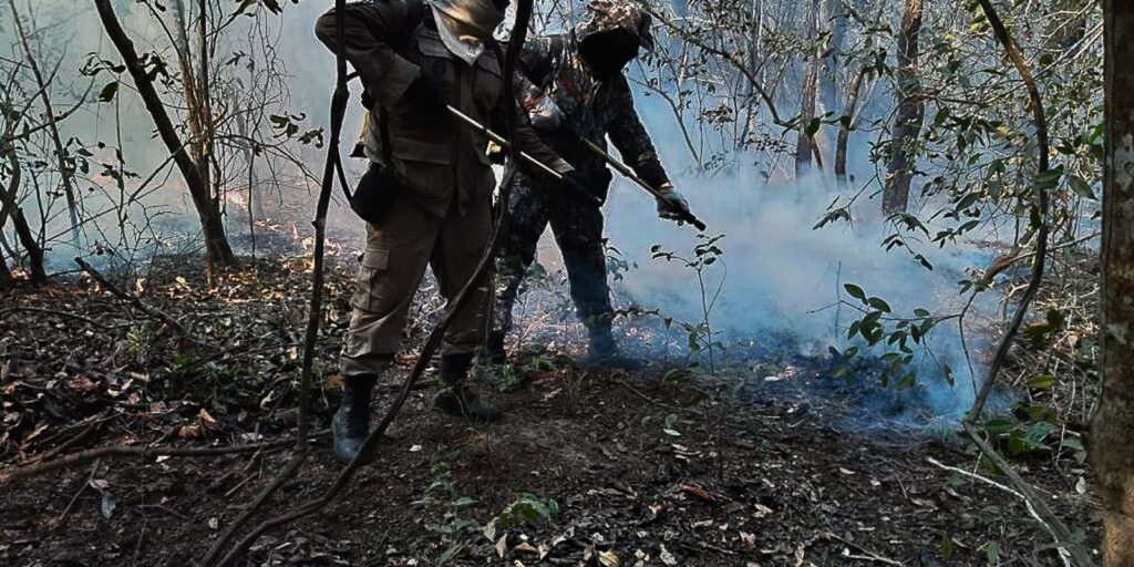 Dois estados decretam emergência em razão de incêndios no Pantanal