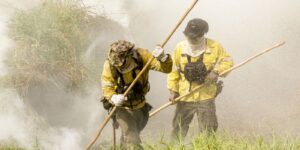 Brigadistas intensificam trabalho de combate a incêndios no Pantanal