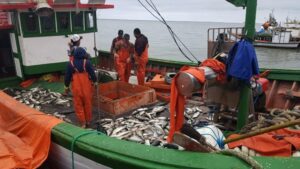 Comissão de Agricultura vai debater refinanciamento das dívidas de pescadores – Notícias