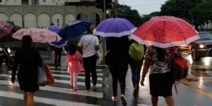 Chuvas em SP provocam alagamentos e queda de árvores