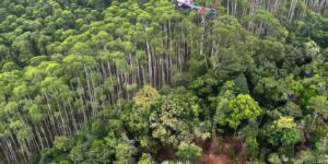 Corpos de ocupantes de helicóptero são encontrados junto aos destroços