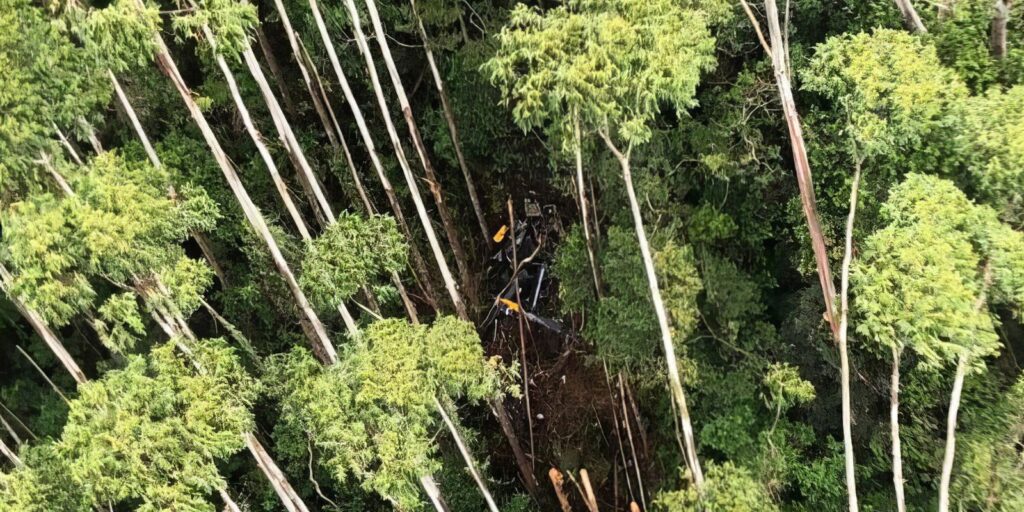 Ocupantes de helicóptero que caiu em SP são sepultados neste domingo