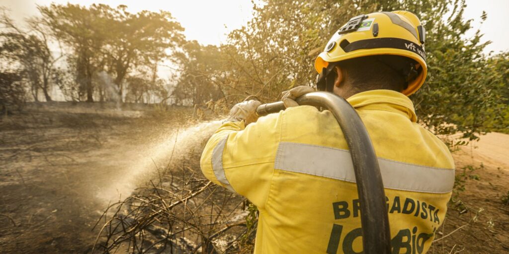 Mais de 17,3 milhões de hectares foram queimados em 2023 no país