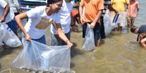 Mutirão solta 150 mil peixes em municípios do Sergipe no fim de semana