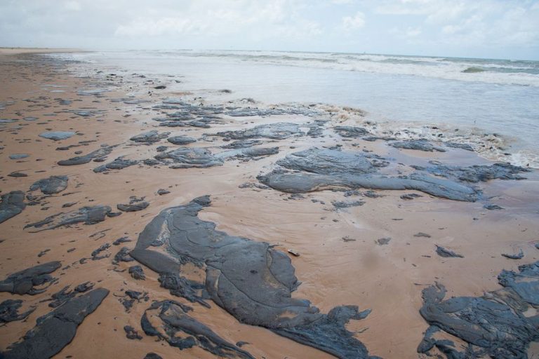 Cinco anos após derramamento de petróleo, audiência discutirá consequências do desastre ambiental – Notícias