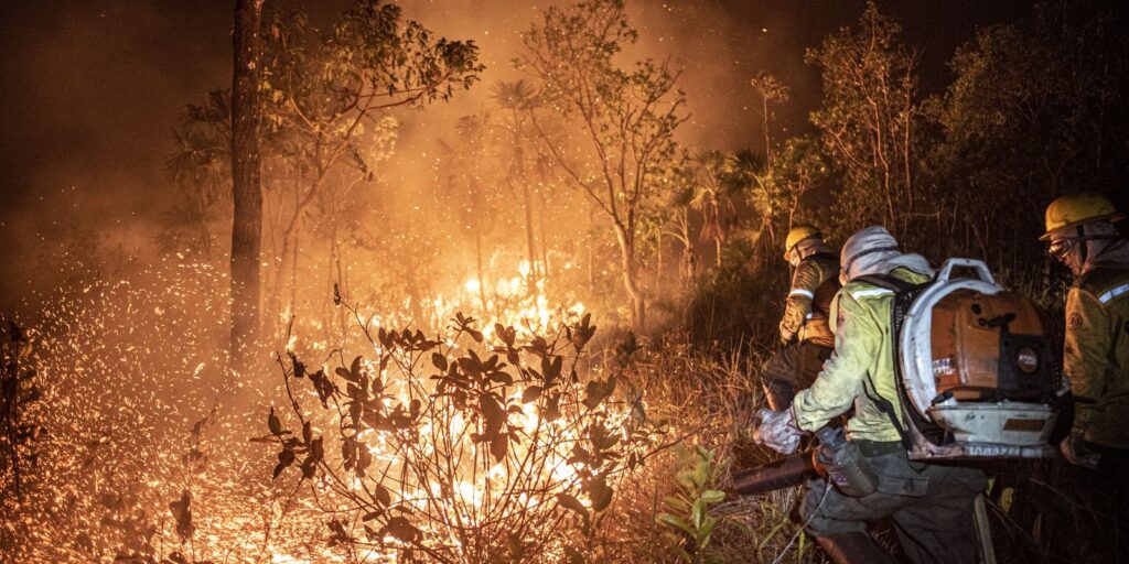 Brasil teve 11,39 milhões de hectares atingidos pelo fogo este ano