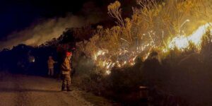 Bombeiros do Rio combatem 460 focos de incêndio em um dia