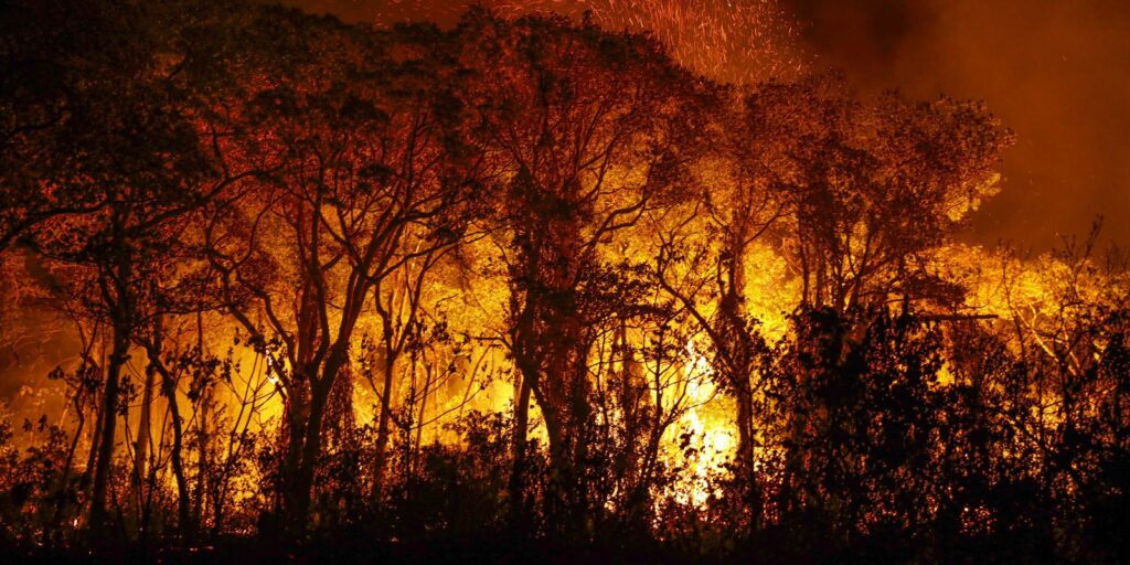 Defensoria Pública pede combate a incêndios em terras indígenas do MT