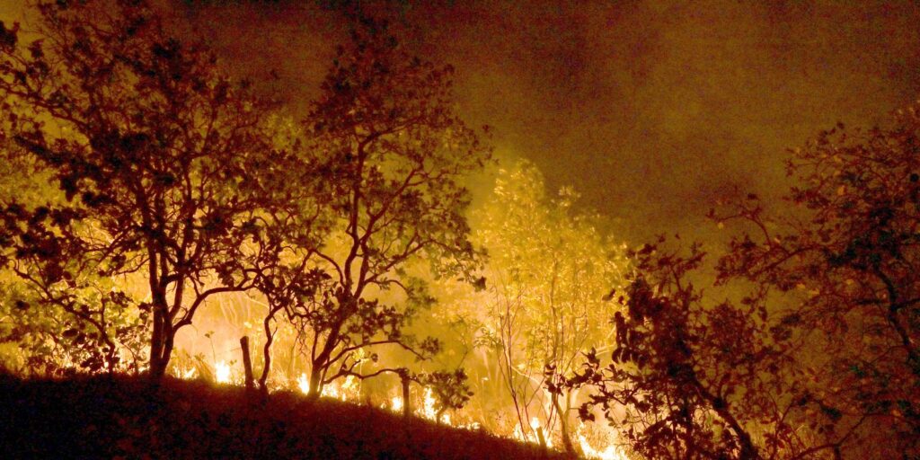 Bombeiros combatem mais de 330 incêndios no estado do Rio