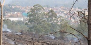 Estado de São Paulo amanhece com 11 focos de incêndio