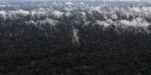 Emissão de gases do efeito estufa por queimadas na Amazônia cresce 60%