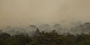 Parque de Brasília: fogo vira subterrâneo mas pode voltar à superfície