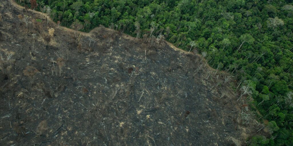 Terra Indígena Karipuna de Rondônia tem cenário de incêndio e seca