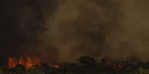 Chuva ajuda a apagar incêndio no Parque da Serra dos Órgãos, no Rio