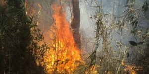 Rio: Justiça transforma em preventiva prisão de acusado de incêndio