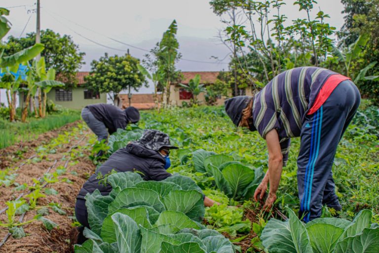 Projeto destina parte dos recursos de loterias para o crédito rural – Notícias