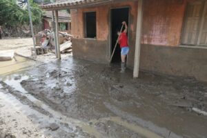 Comissão Mista Permanente sobre Mudanças Climáticas promove audiência com foco na COP29 – Notícias