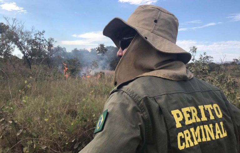 Medida provisória destina R$ 938 milhões para ações de combate à seca e a incêndios florestais – Notícias