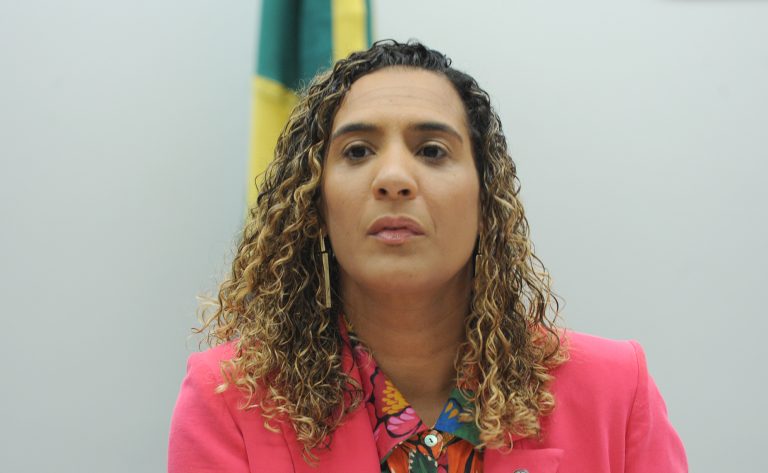 Ministra cobra apoio da sociedade para políticas de igualdade racial – Notícias