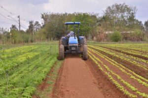 Nova lei garante mais recursos para crédito à agricultura familiar – Notícias